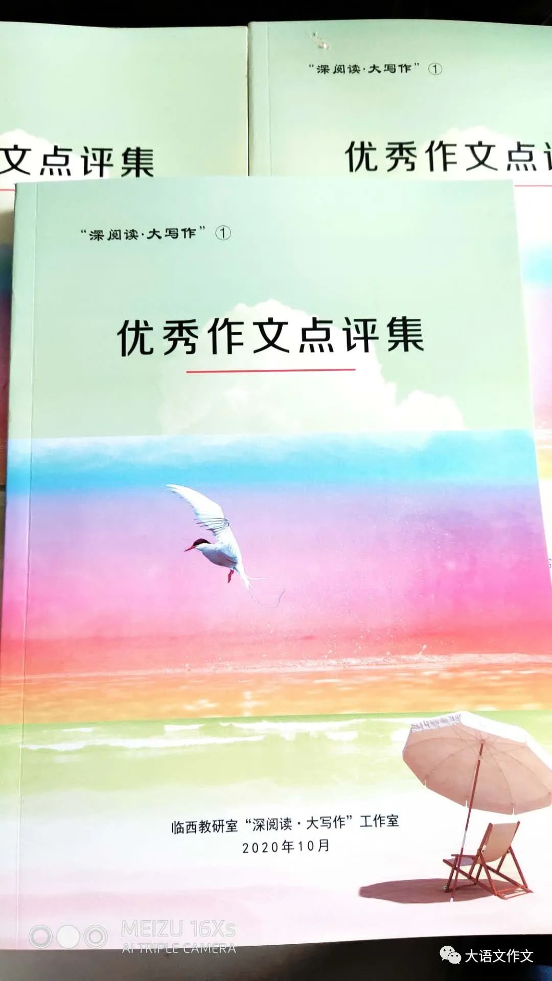 临西第六小学四年级赵若琳2260字的《我的自传》