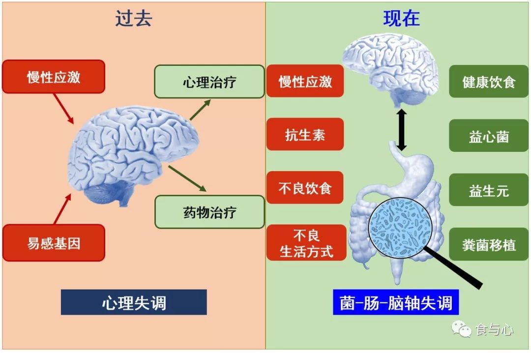 饮食调节改善抑郁,抑郁饮食吃什么好