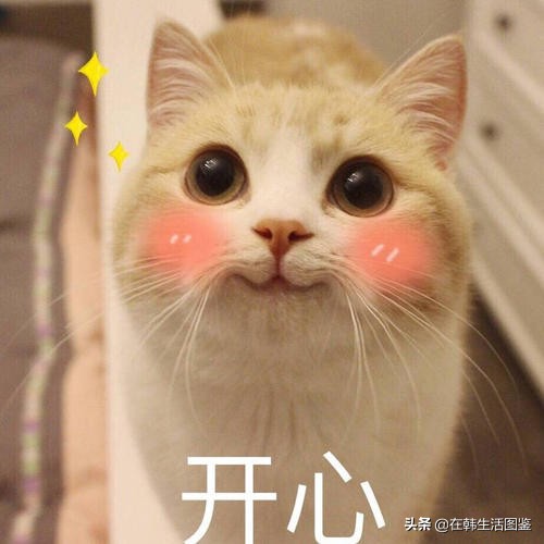 韩国小姐姐怎么护肤,怎样护肤才能get到弹嫩水光肌