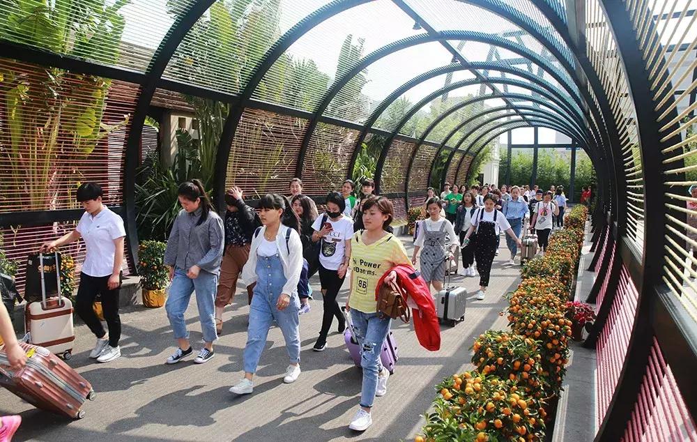 巨邦国际2015特训营,巨邦特训营视频