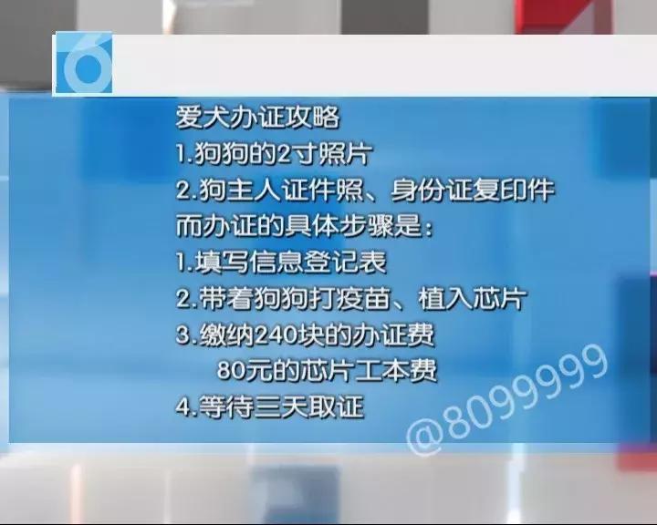 办了狗证有什么权利,狗证是一年一办吗