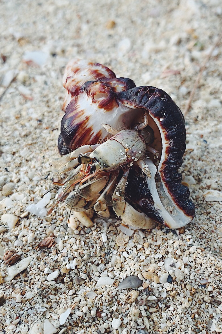 普吉岛三天旅游攻略,普吉岛怎么玩视频