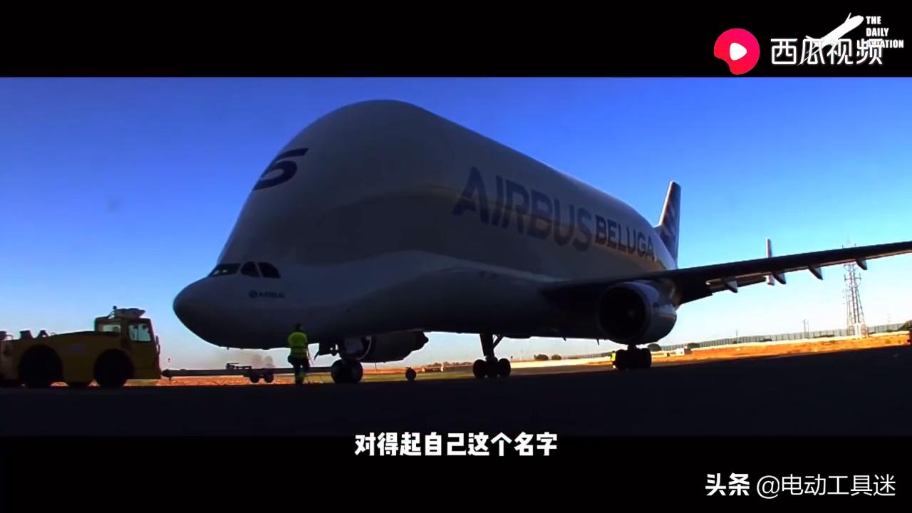 刷新你的知识体系，西瓜视频解析：史上最奇葩的飞机超级古比鱼