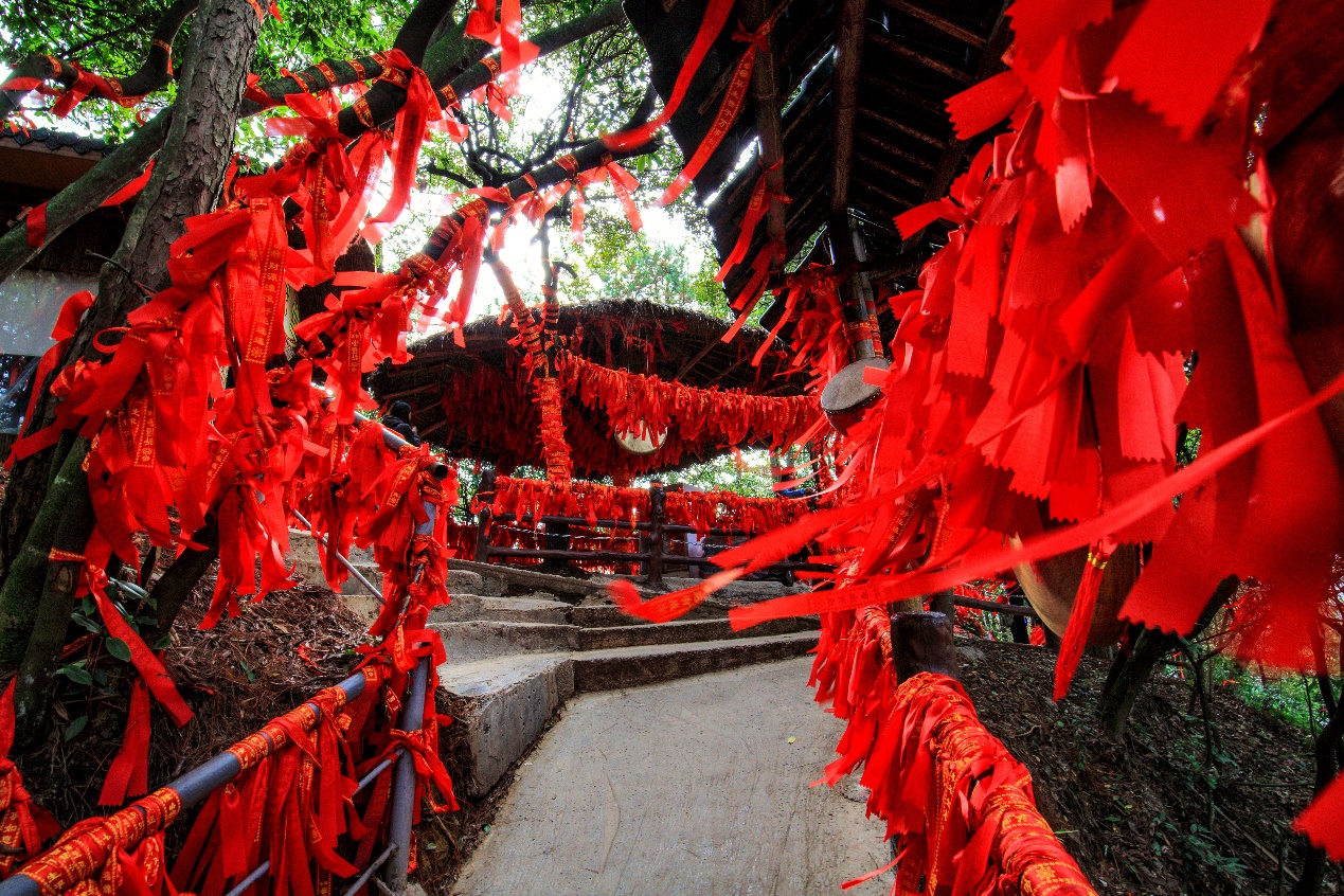 张家界天气预报15天准确旅游攻略,张家界凤凰古城芙蓉镇自驾游攻略