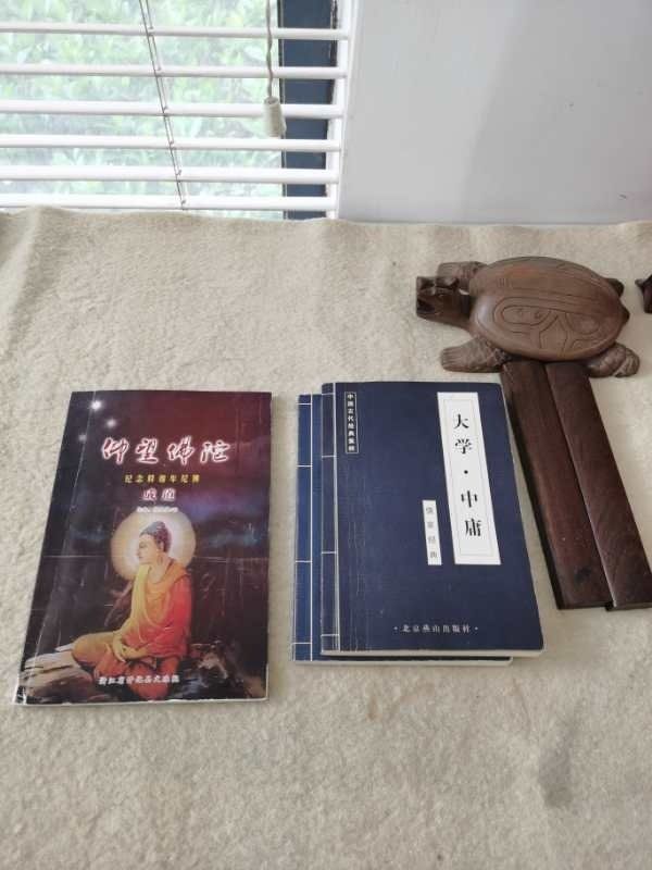 潇洒的奶奶是怎么来的,洒脱的老奶奶舞蹈视频