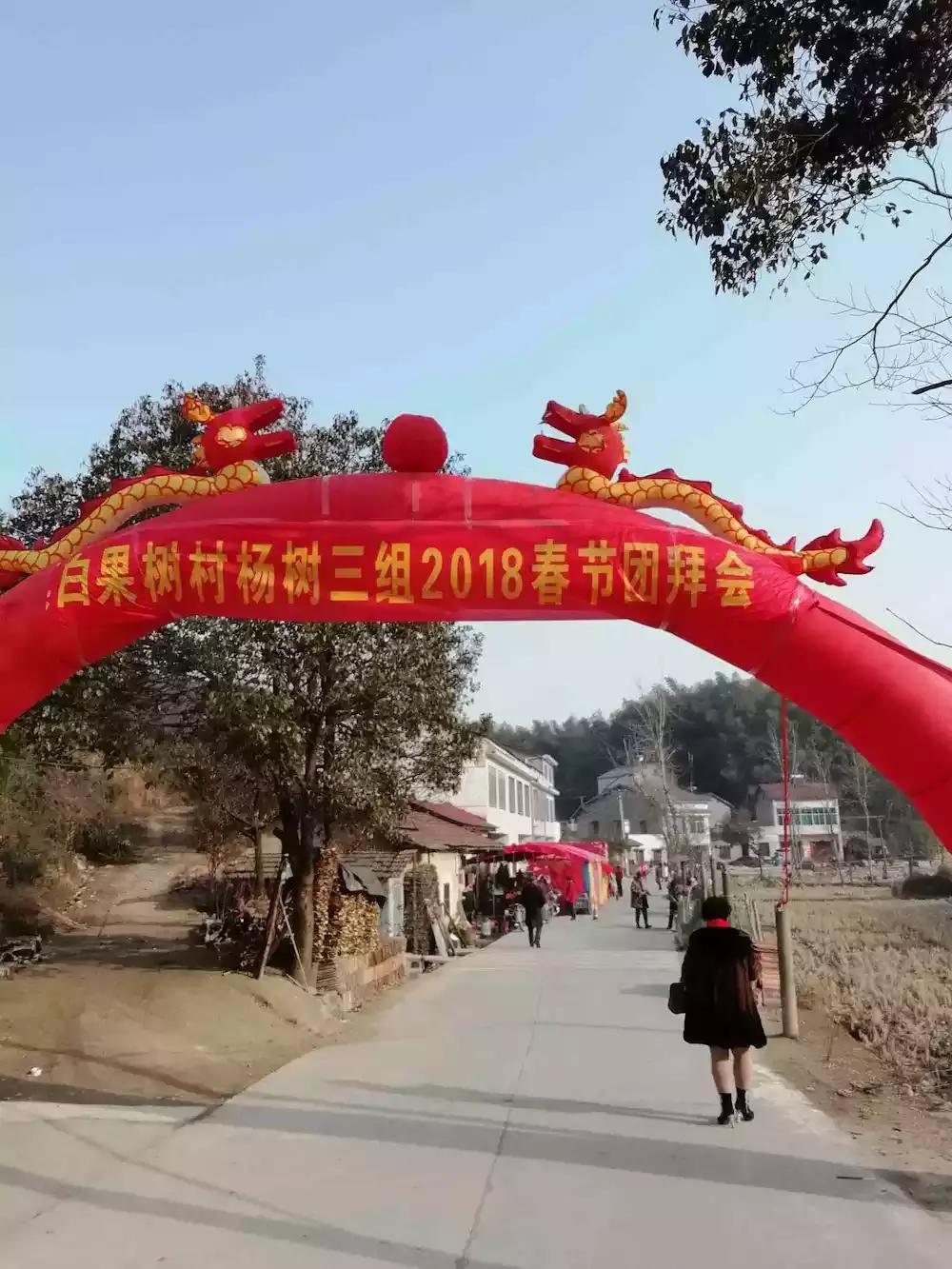 我筹备了村里有史以来第一场春节团拜会，连记者都吸引来了