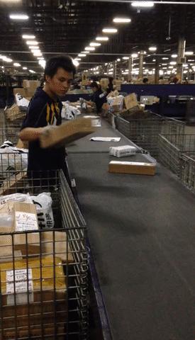 物流分拣每天的工作,物流分拣真实经历