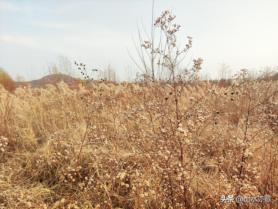 石家庄真正值得去的景点,石家庄最值得去看看的景点