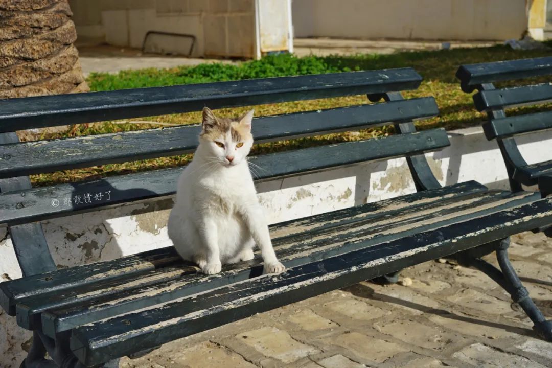 古代突尼斯城的港口,古老的地中海