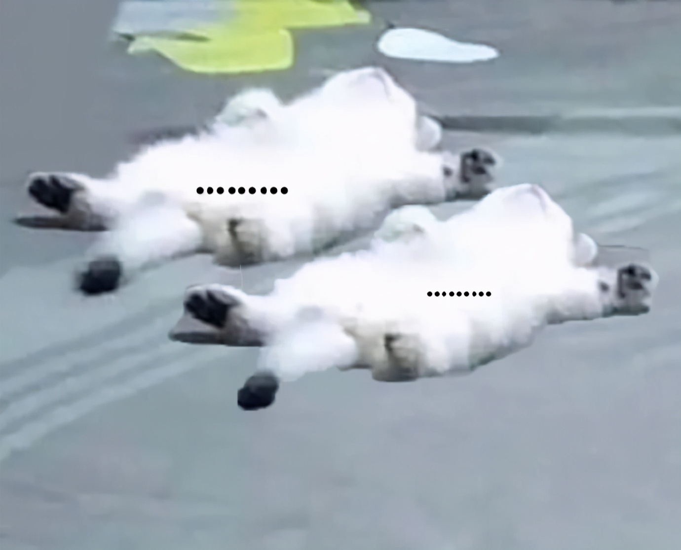 浣犳湁鍝簺璁╀汉绗戝埌鑲氬瓙鐤肩殑鎼炵瑧瀵硅瘽鍊煎緱鍒嗕韩,浣犳湁鍝簺璁╀汉绗戝埌鑲氬瓙鐤肩殑鎼炵瑧鍥剧墖