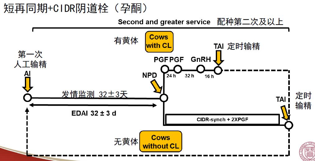 牧场繁殖成功率,如何利用大数据了解地区养殖