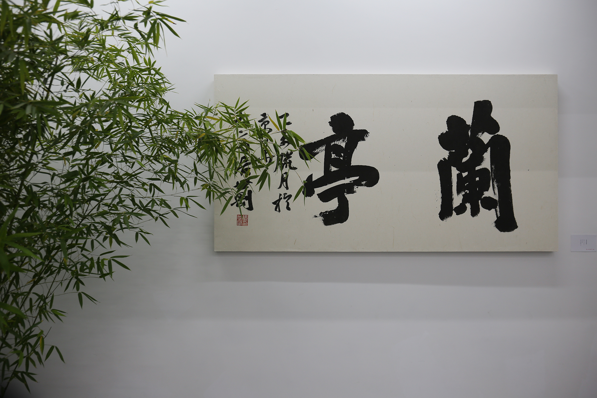 文华千载耀海城，翰墨飘逸醉临溟——张世刚艺术馆开馆