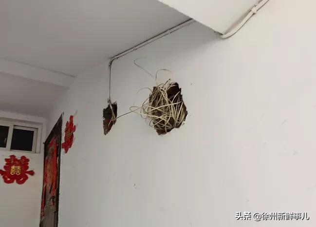 水管裸露电线乱拉！徐州这家楼盘被业主疯狂吐槽，中介都不建议买