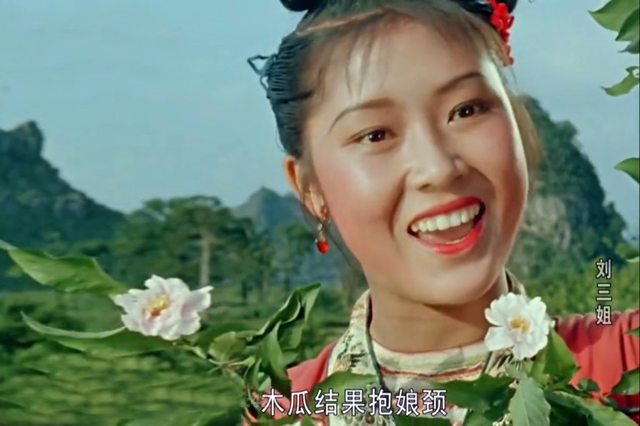 100部经典老电影之地雷战,地雷战经典老电影100部