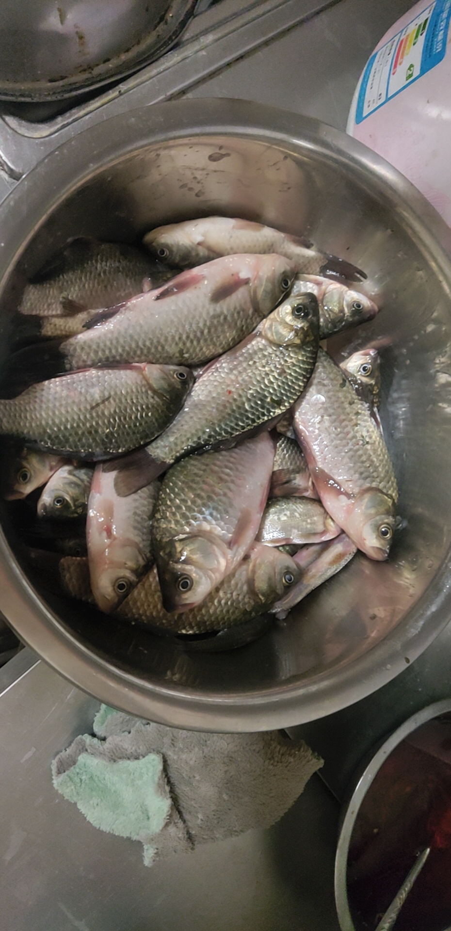 钓鱼人的三从四德,钓鱼人的新三从四德