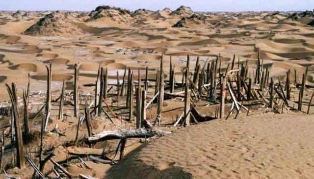 甘肃和青海阿尔金山,新疆阿尔金山与青海