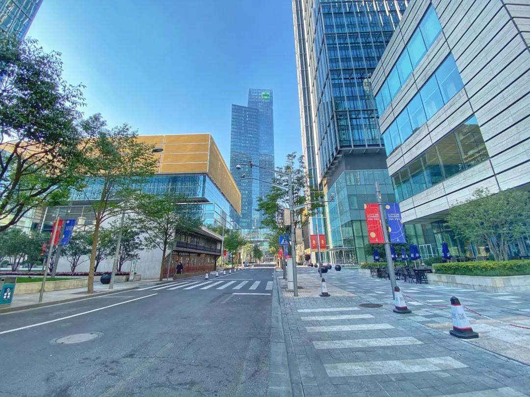 上海2月4日天气,上海2月10日天气