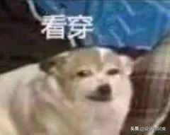 热水器3排跟4排有什么区别,冷凝式热水器优缺点