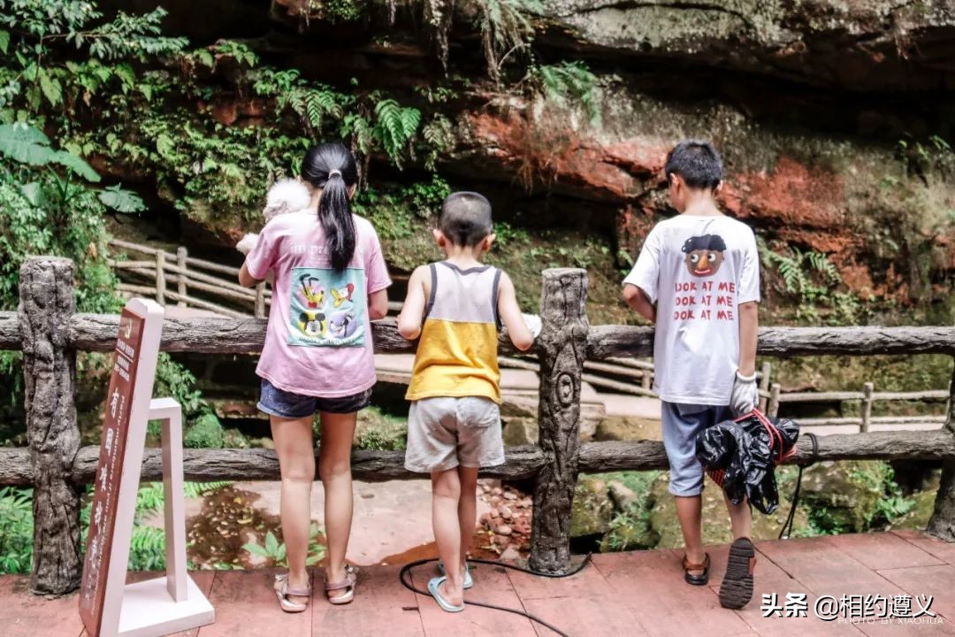 赤水大瀑布 侏罗纪公园 (世界唯一保留的侏罗纪原始公园)