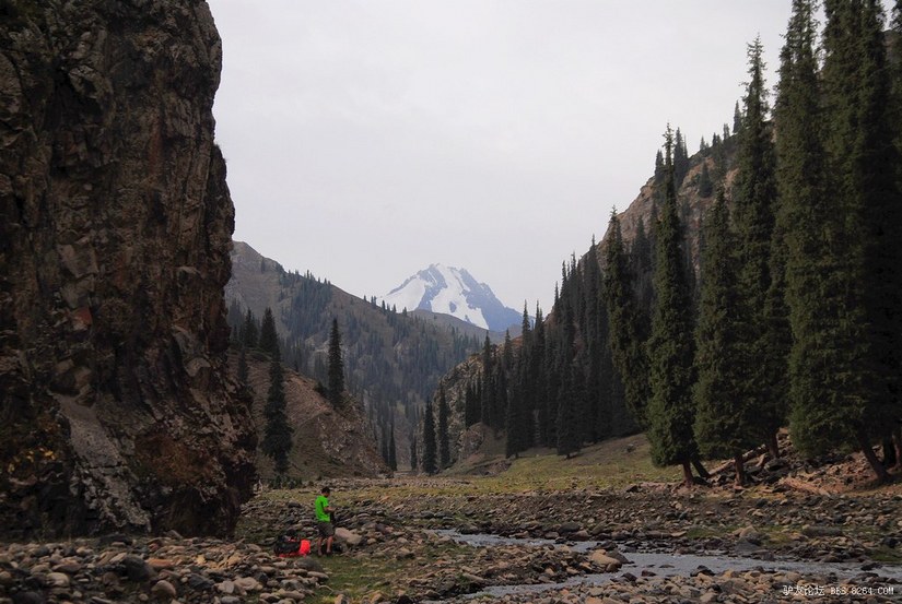 狼c调简谱教唱,狼c