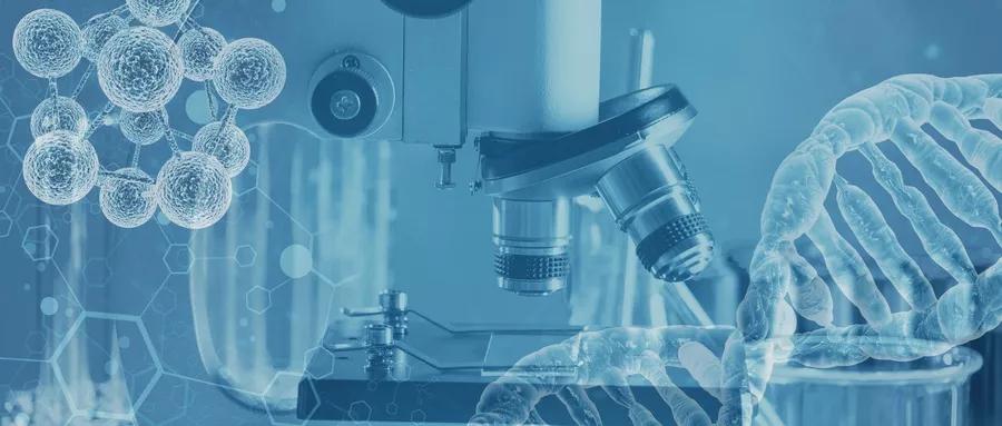 补体低会有哪些表现,补体怎么老是升不上去