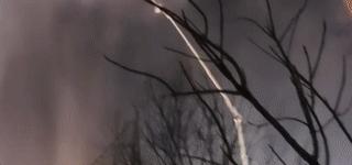 惹众怒该怎么办,惹众怒违法吗