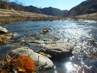 北京这38个森林公园您先收藏了!定个小目标,有空儿玩个遍!