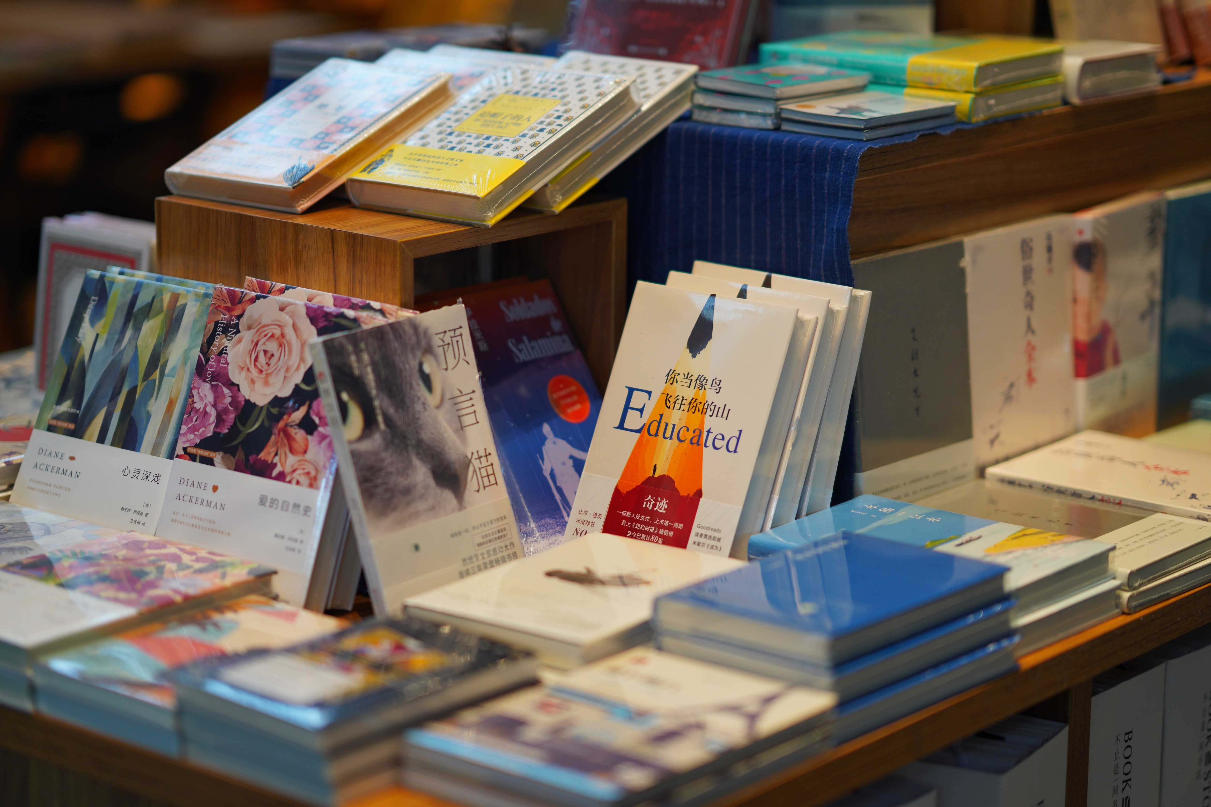 送你一份不走寻常路的苏州攻略，田园风民宿+文艺小清新打卡地