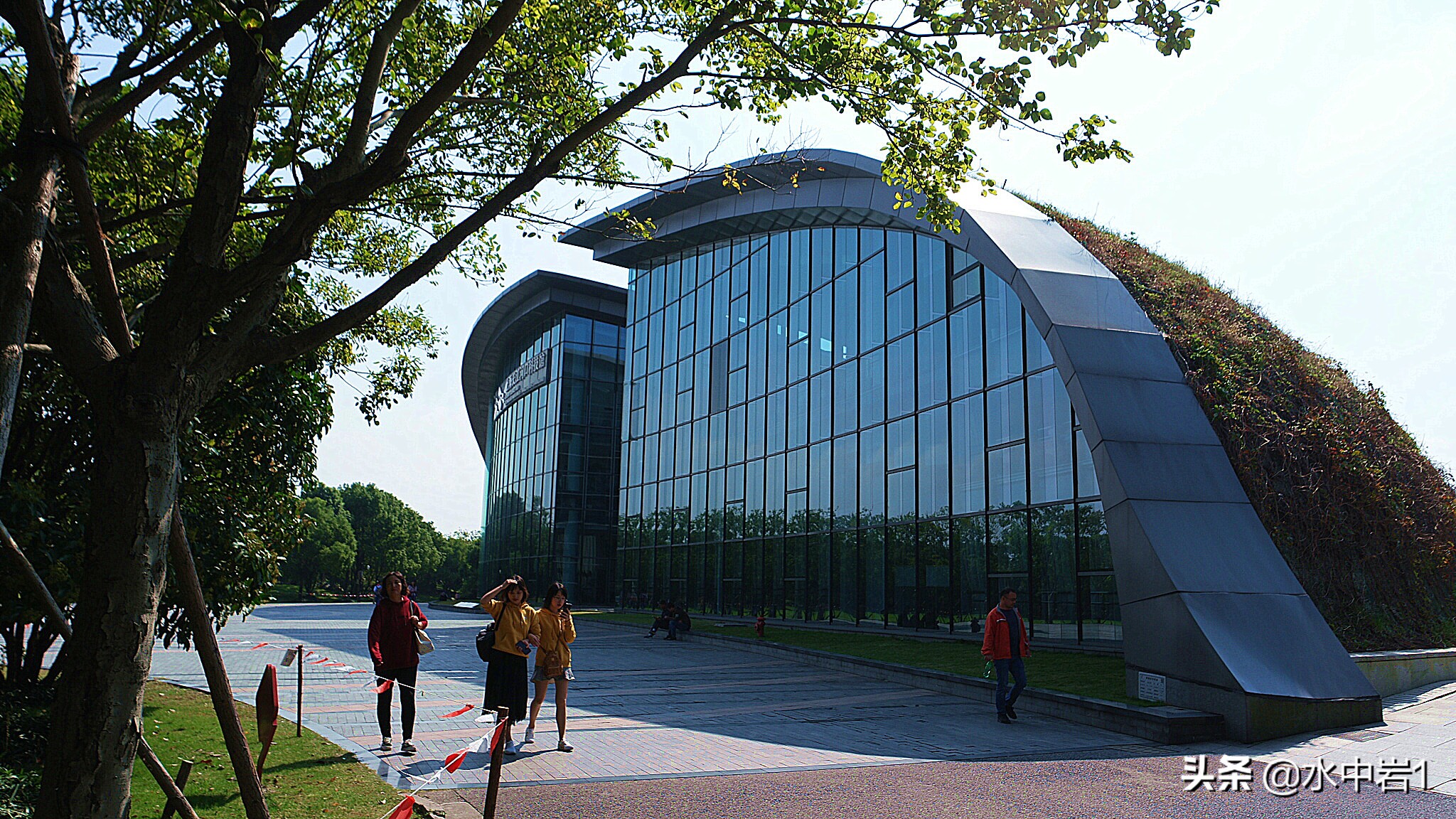 长江流域湿地生态环境保护,长江流域环境保护成果