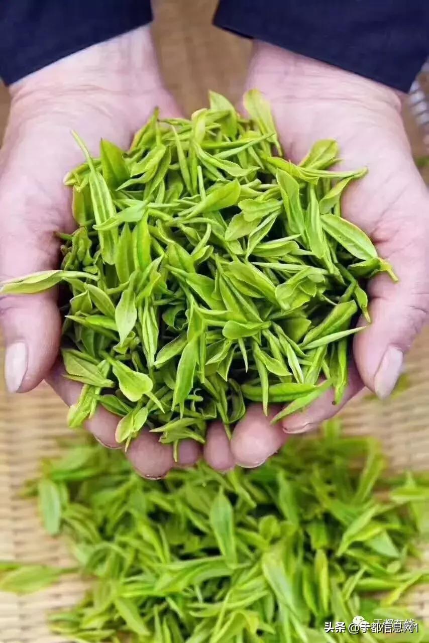 于都方志,方志于都的诗歌