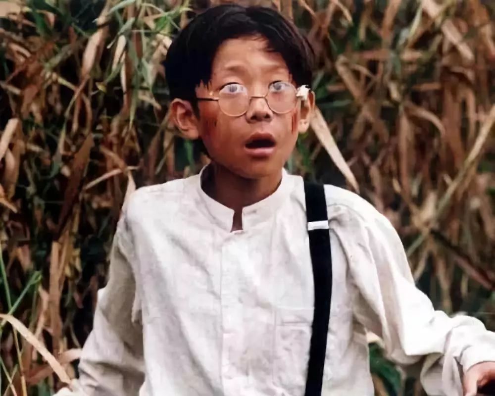 郝邵文吴磊张一山童星,那些年我们曾经的演员