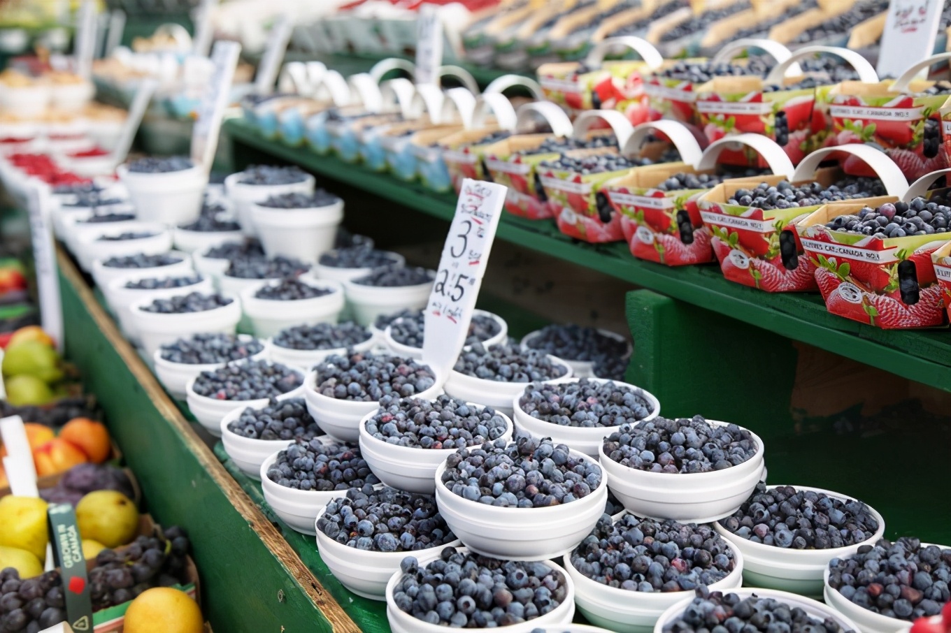 「怀念系列」加拿大（5）｜品尝奥巴马同款枫叶糖