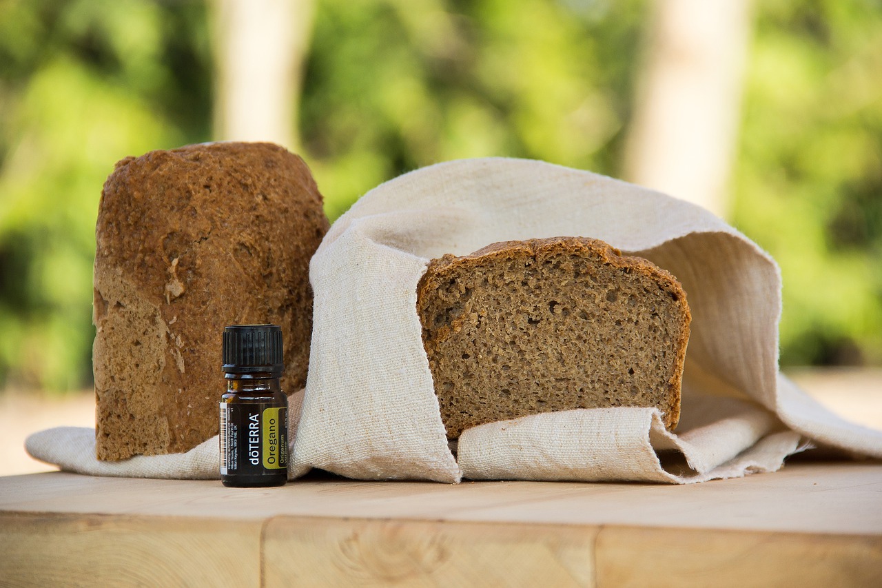 英语每日一词Bear,学英语每日一词dailyword