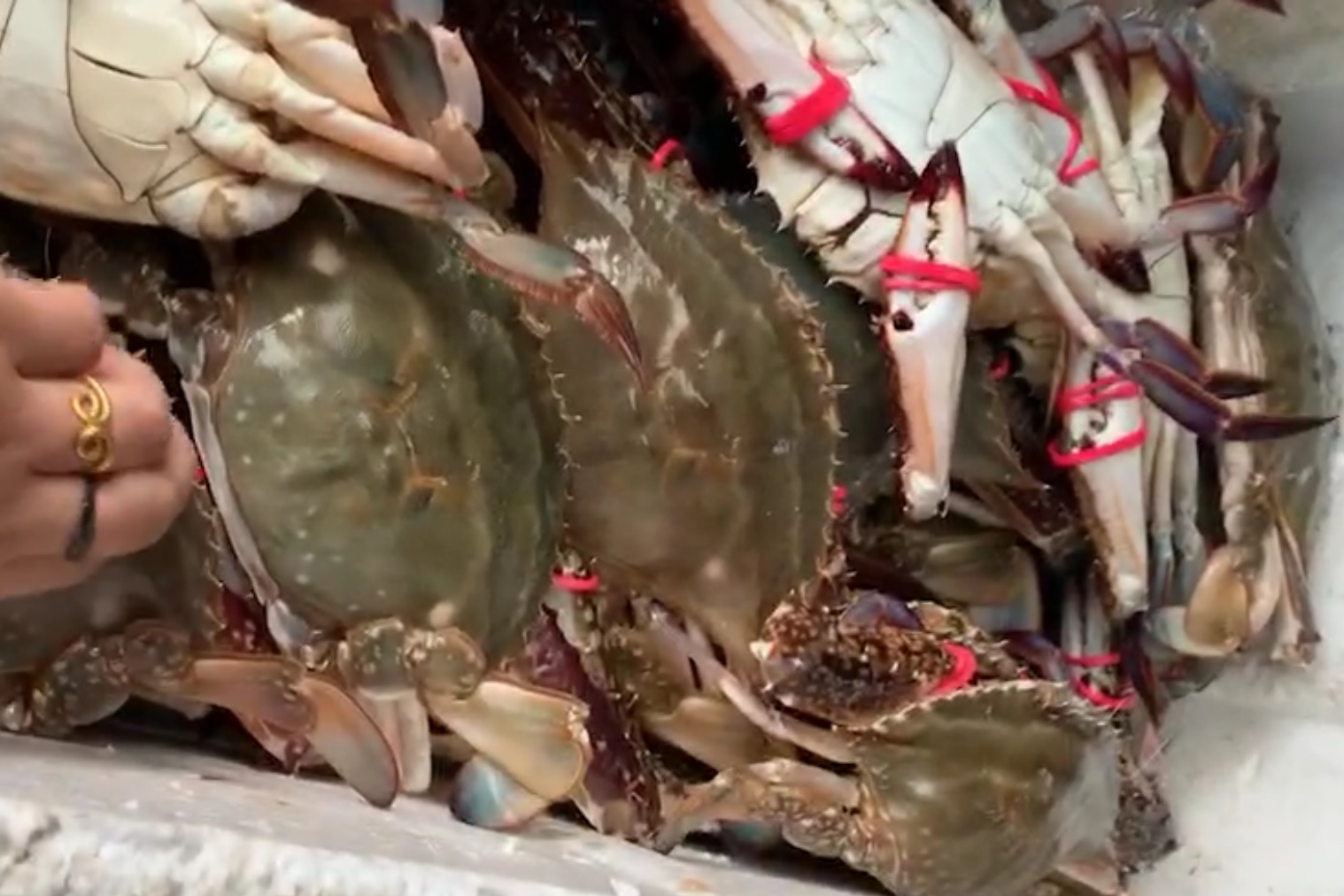 虾蟹一次吃不完怎么储存,鱼虾蟹怎么处理