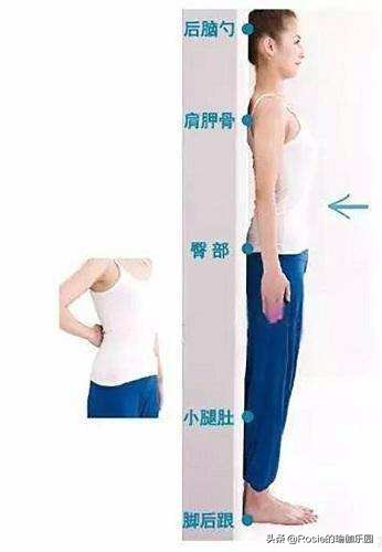 产后妈妈肋骨外翻外扩的危害,肋骨外翻是什么原因造成的女性