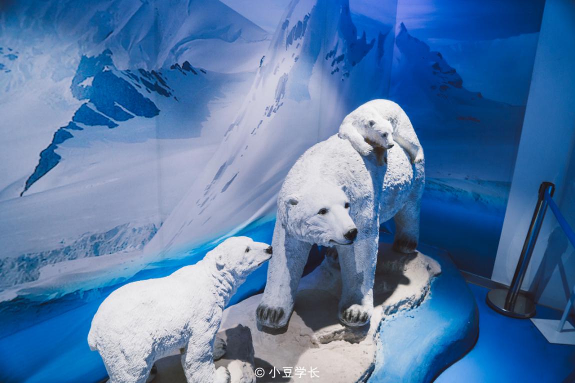 绍兴乔波滑雪多少钱,绍兴乔波滑雪馆