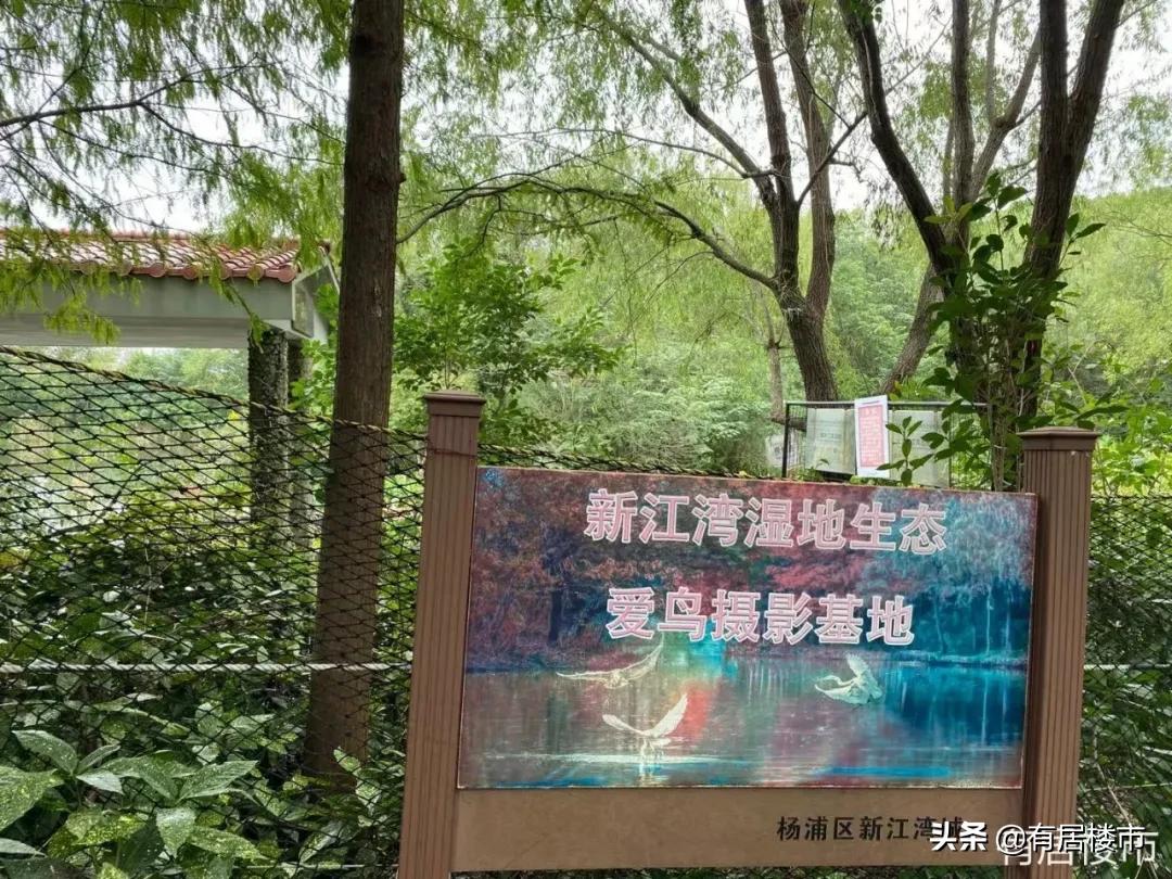 机场为什么荒废,全国烂尾的机场