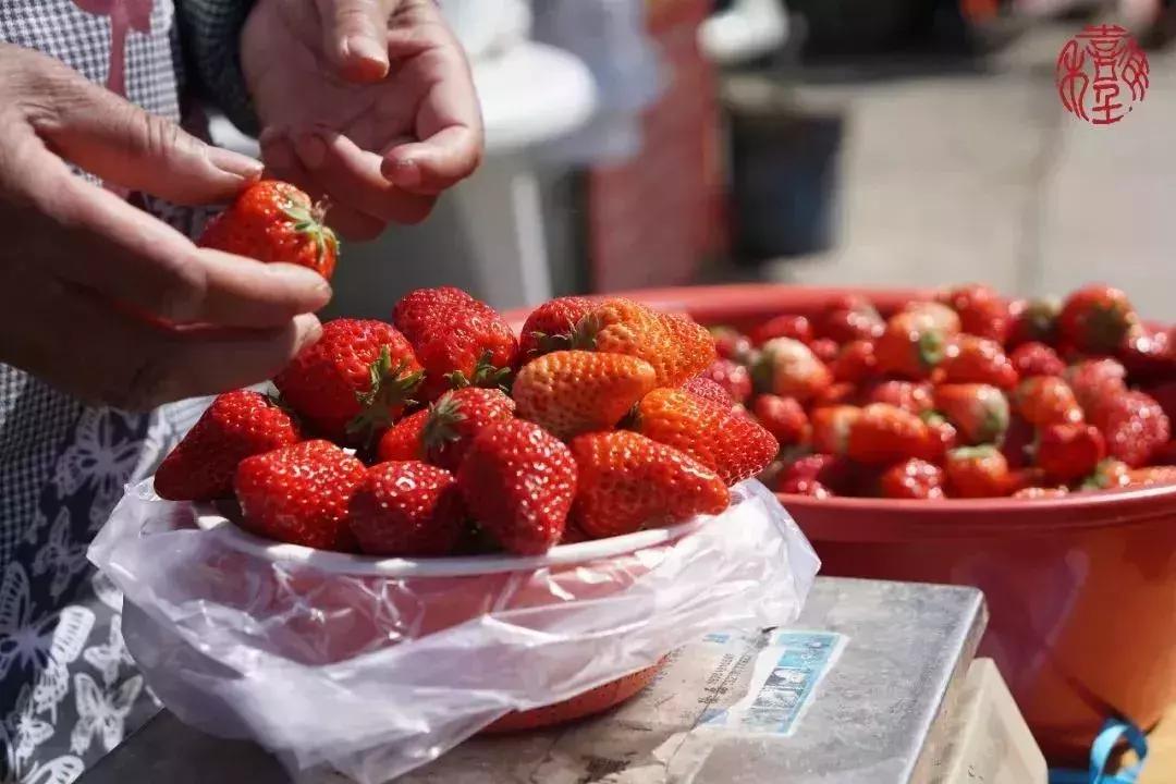 苏州通安的特色,苏州通安有什么美食