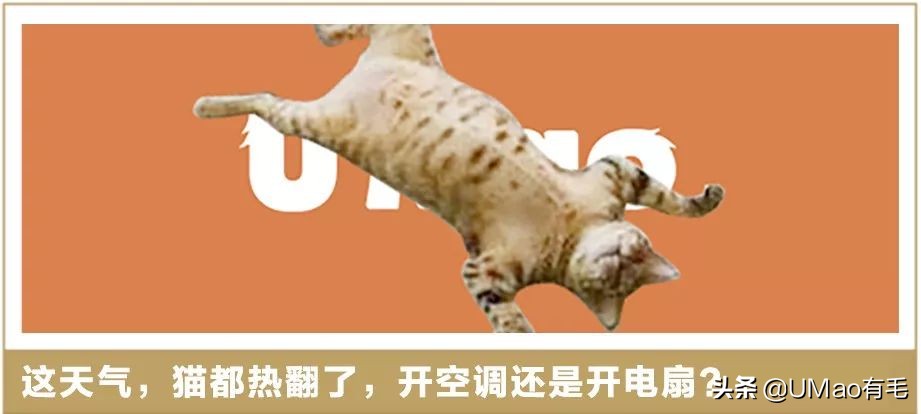 脚毛太长要刮掉吗,脚毛太长了能不能刮