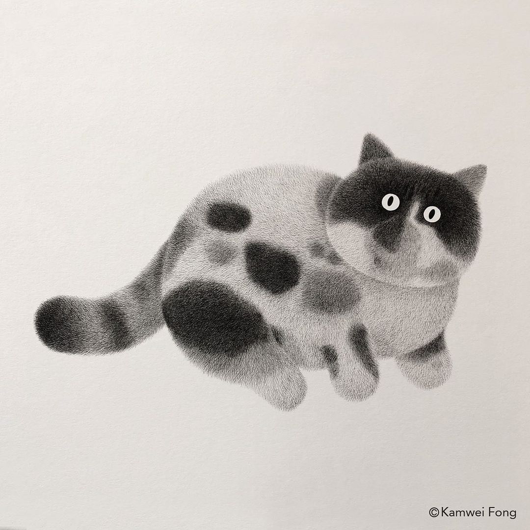 毛茸茸的手绘猫,可爱黑白手绘猫咪