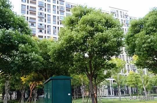 昆山企业信用等级认证费用,2022开发商信用评级排名