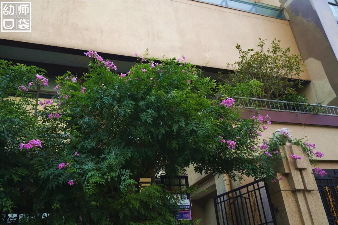 这里有最好的自然、最野的运动、最幸福的老师和孩子丨走进幼儿园