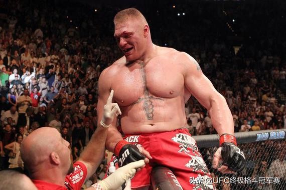 ufc黄金时期,ufc十年回顾2011年所有冠军出场