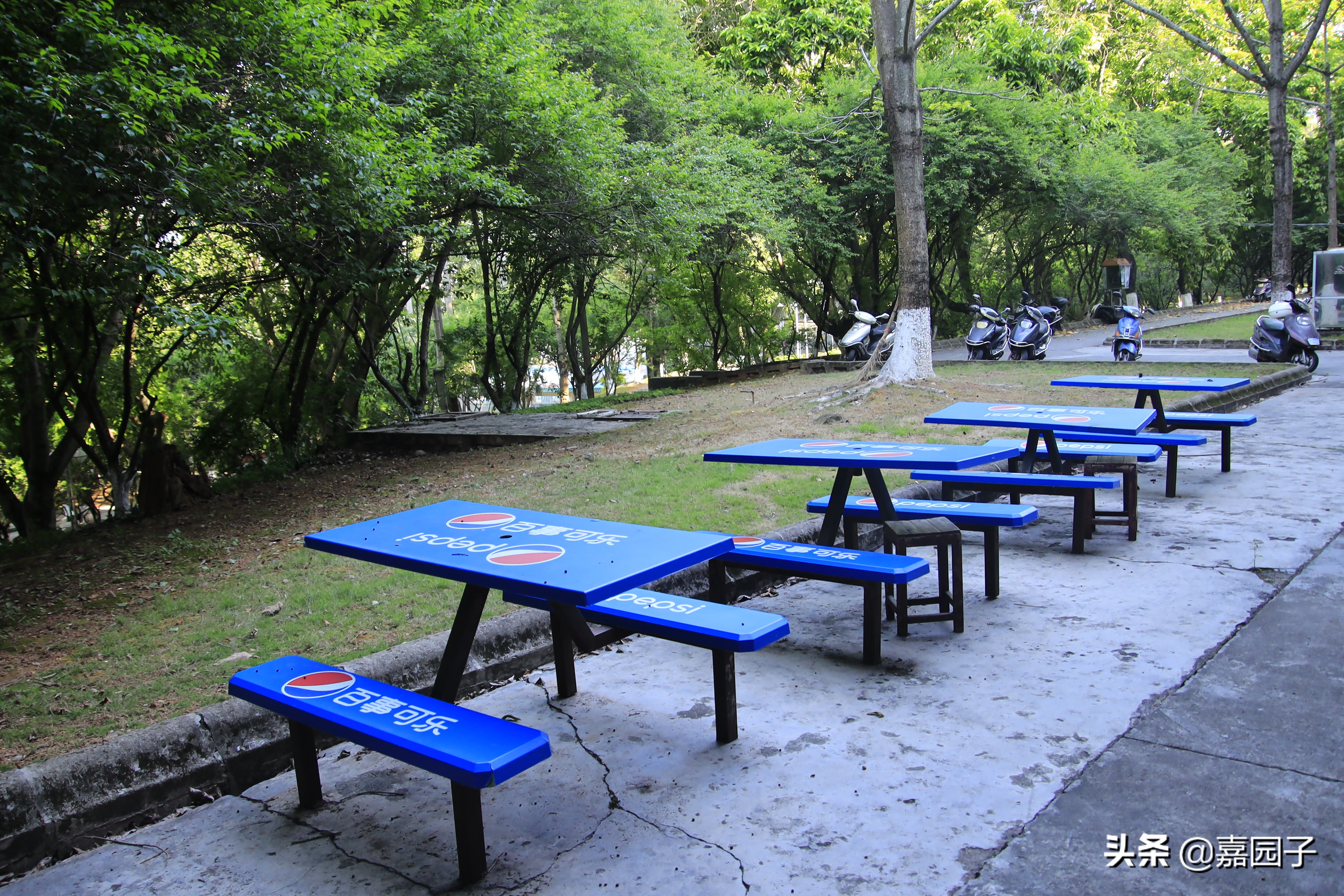 嘉应学院几本,嘉应学院申硕