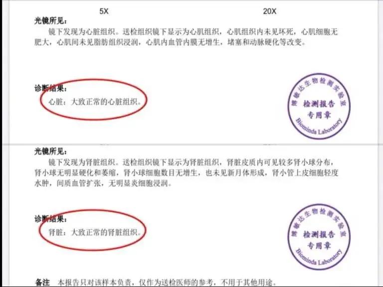 寄养“恶霸”离奇暴毙，医生说，可能是热的……