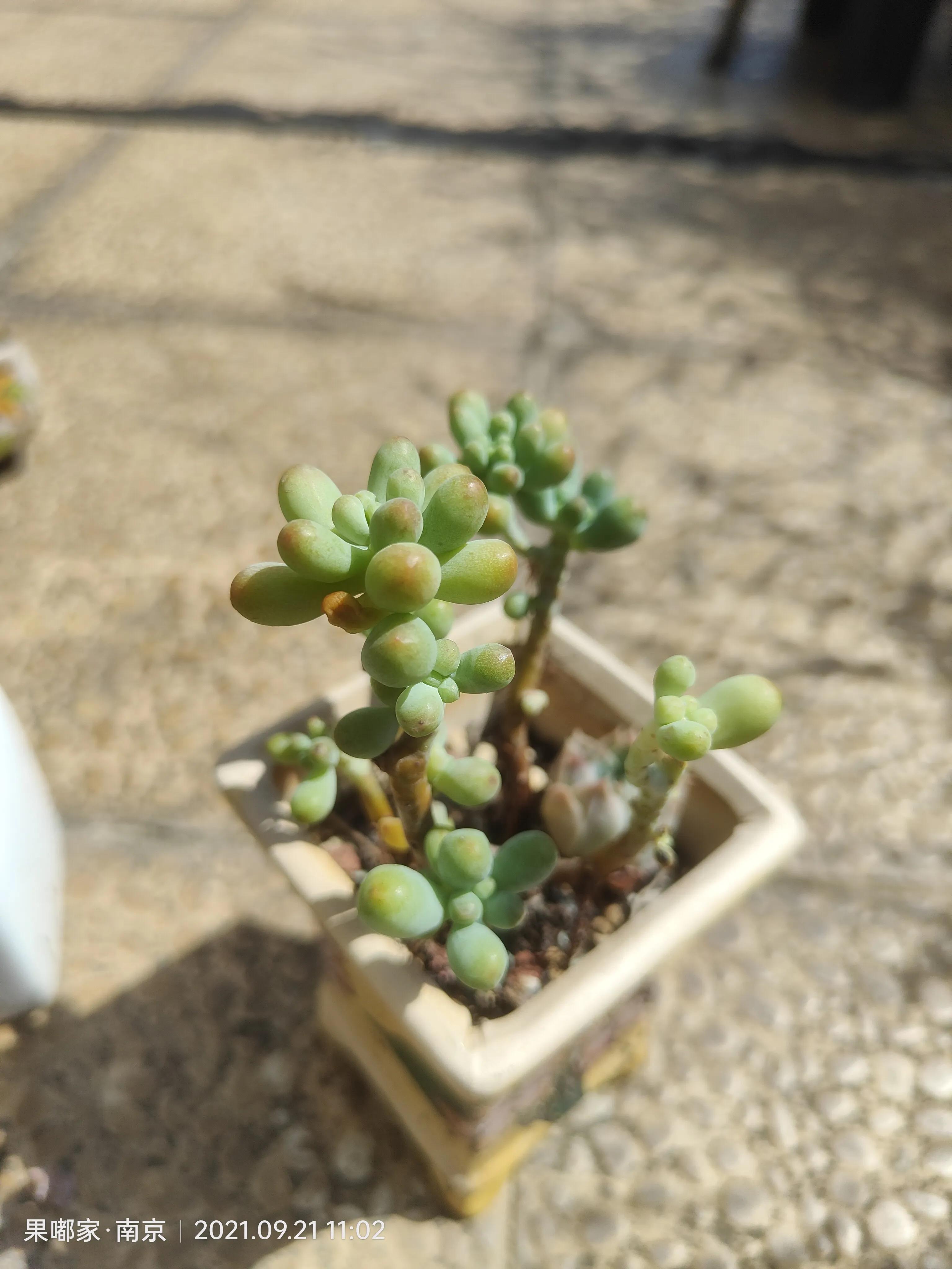 肉肉们比咱们想象中的坚强多了