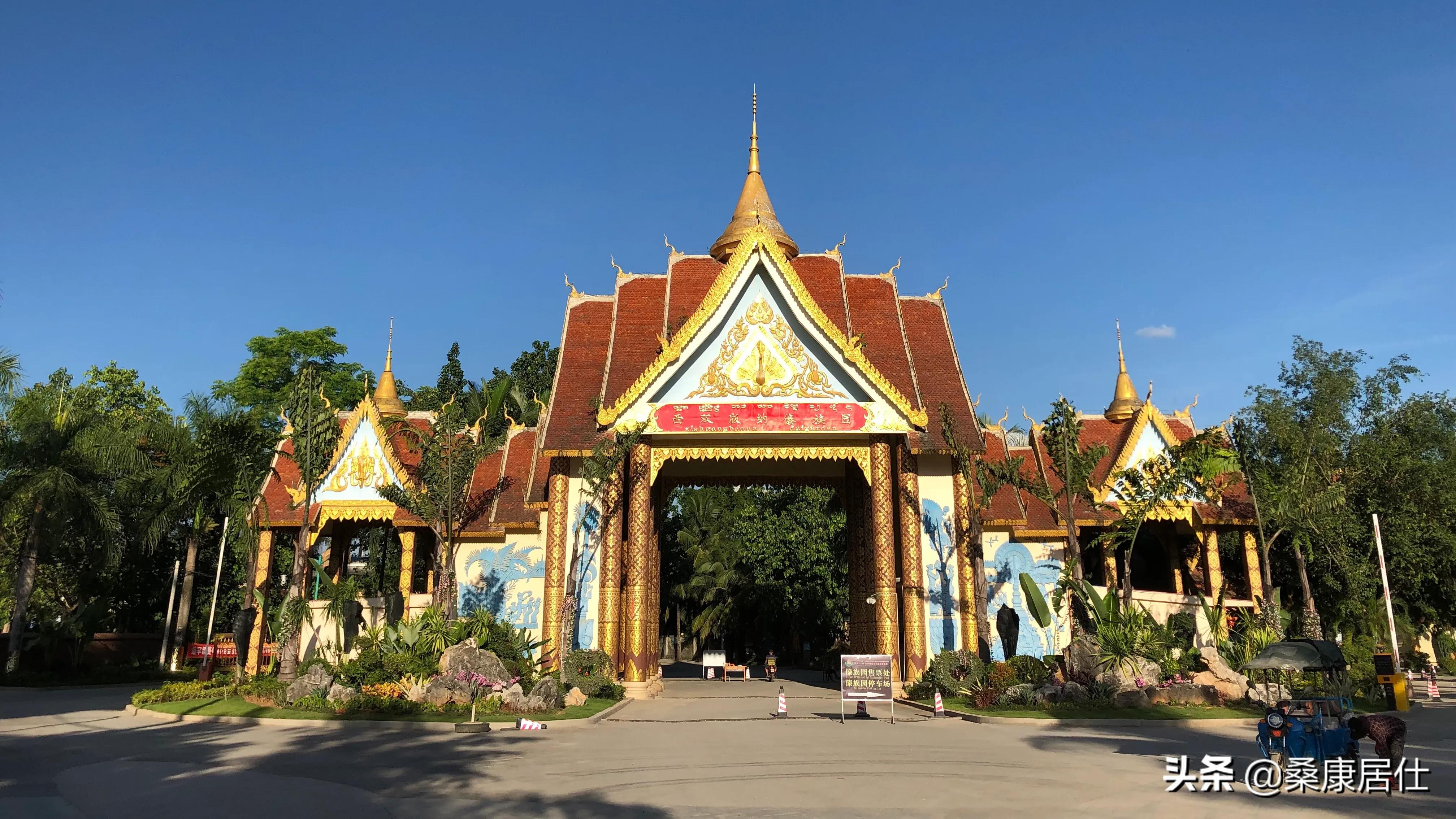 西双版纳旅游直播傣族园泼水节,云南西双版纳泼水节旅游攻略