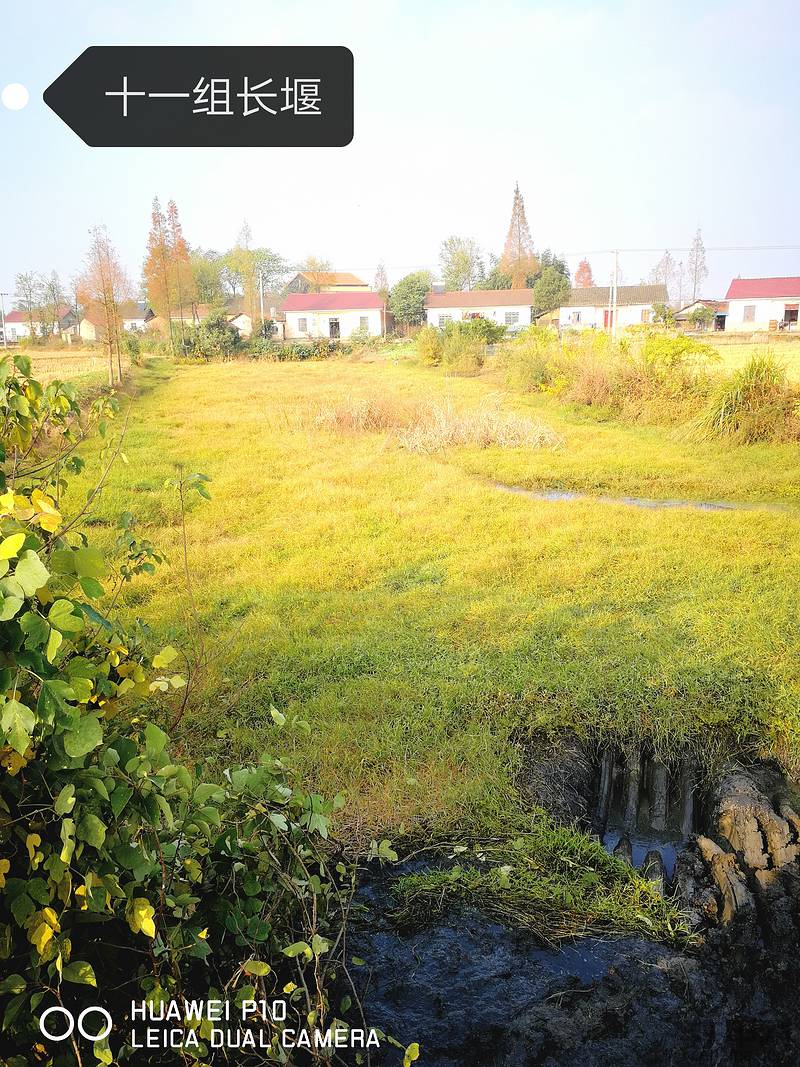 开挖机的亲身经历,一个月学会开挖机