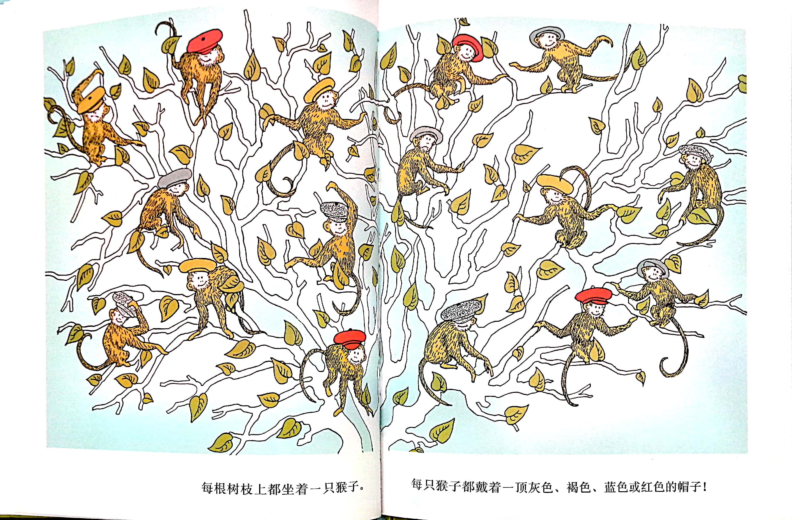 小马电台微博,小马电台主播