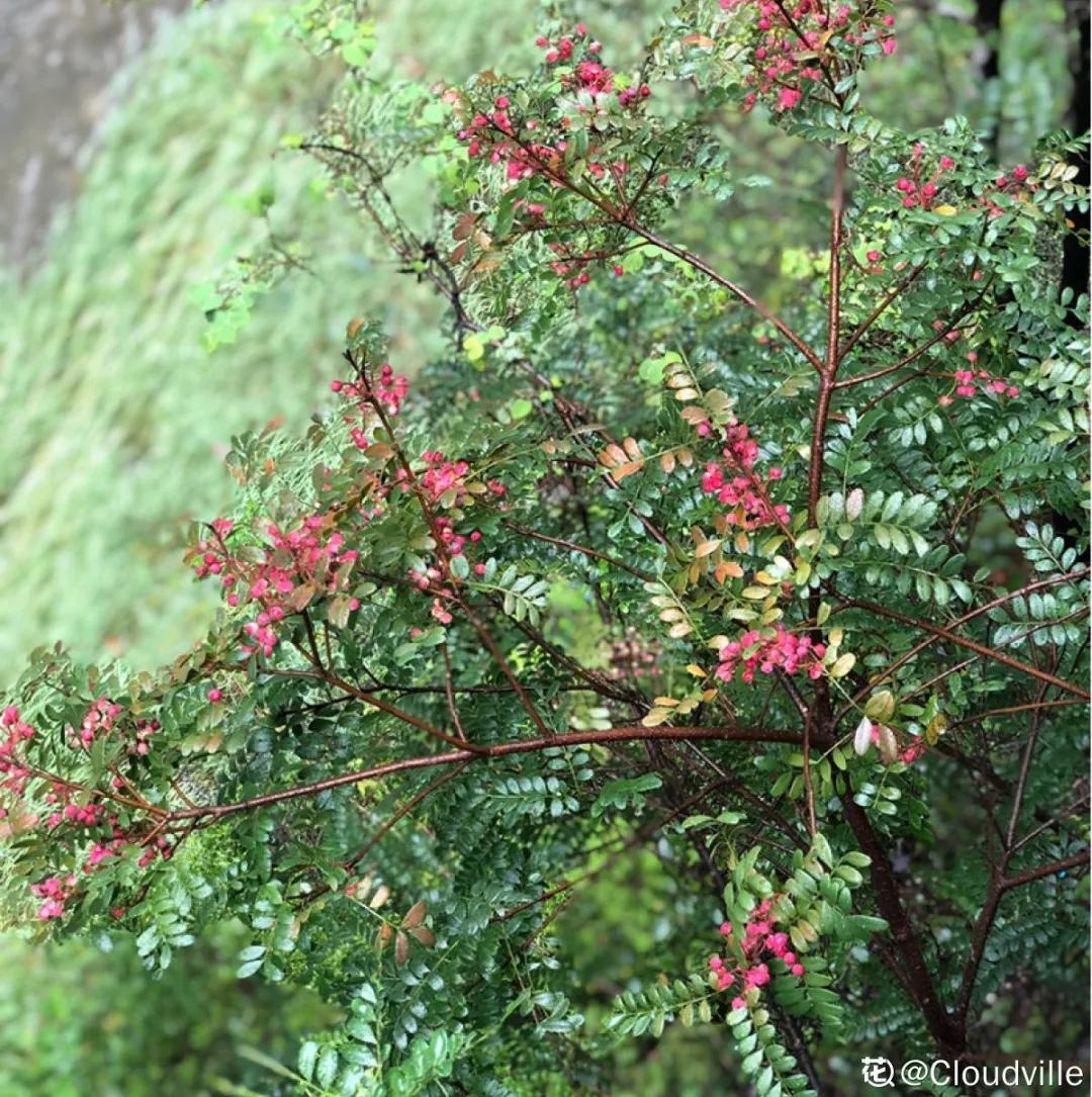 教你如何避开假货买到真品,一张图告诉你怎样分辨假货
